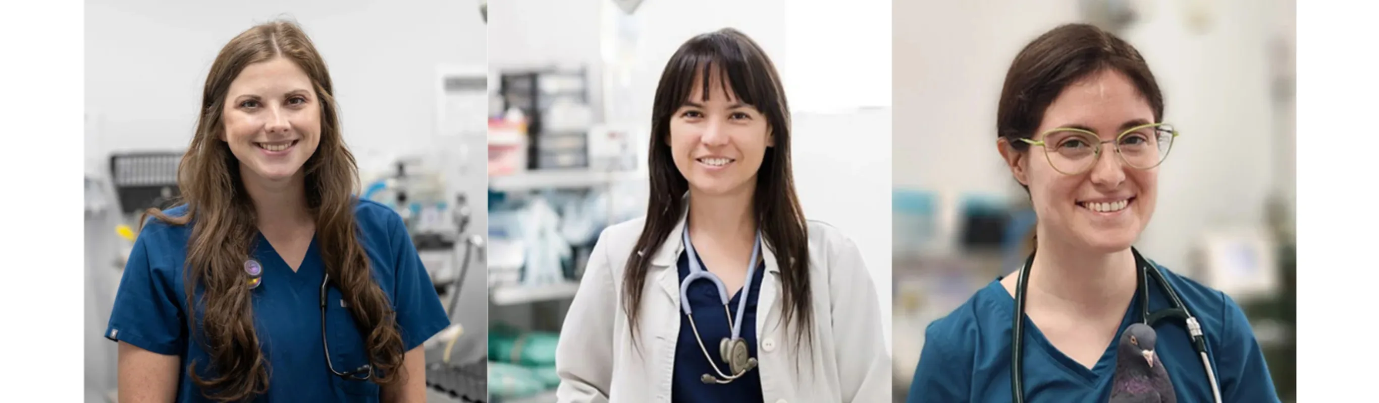 Our Doctors at Animal Medical Center Tuscaloosa Our Doctors at Animal Medical Center Tuscaloosa