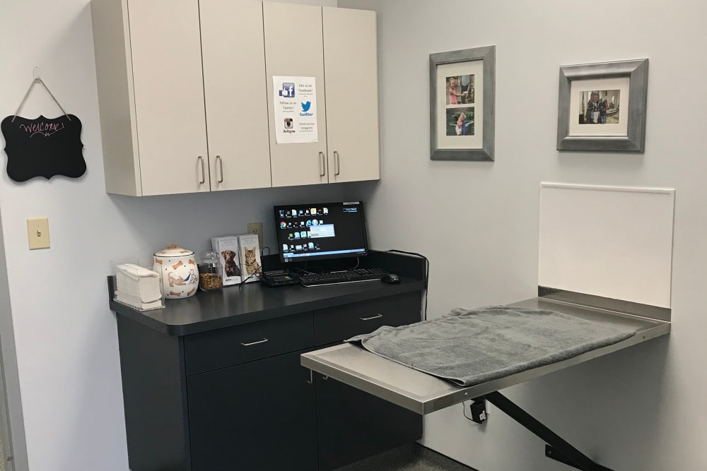 Countryside Veterinary Clinic of Richmond Exam Table