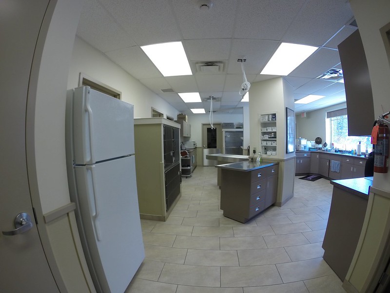 Work Area at Huntsville Animal Hospital