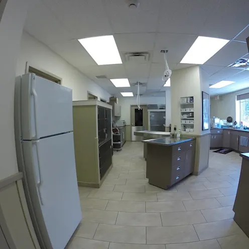 Work Area at Huntsville Animal Hospital Work Area at Huntsville Animal Hospital