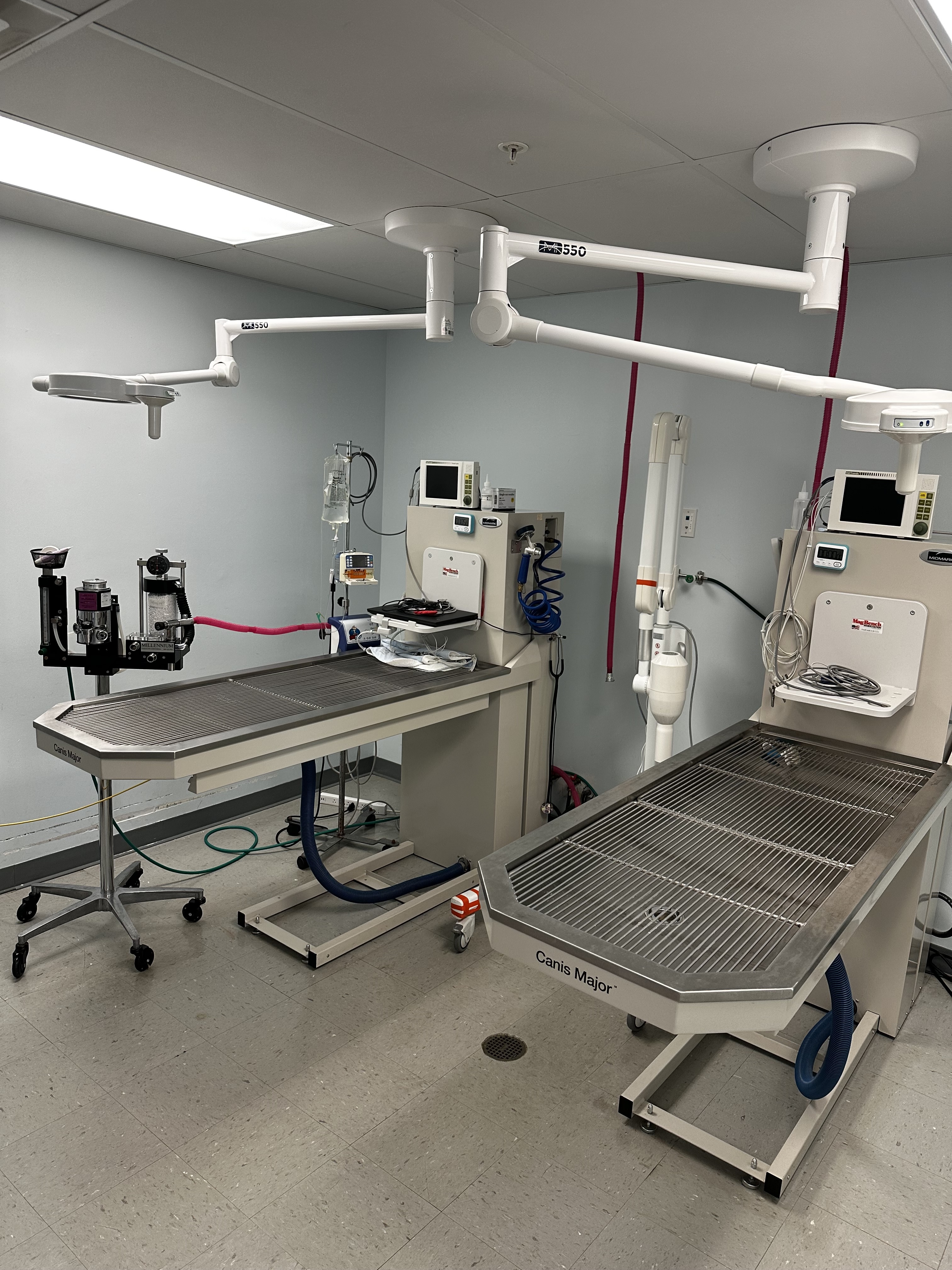 Keystone Veterinary Care Dental Suite 