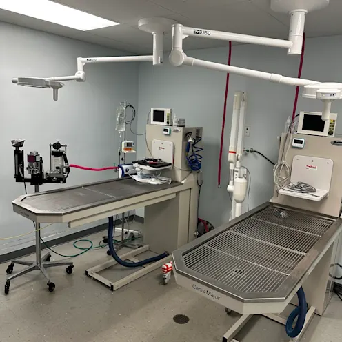 Keystone Veterinary Care Dental Suite Keystone Veterinary Care Dental Suite