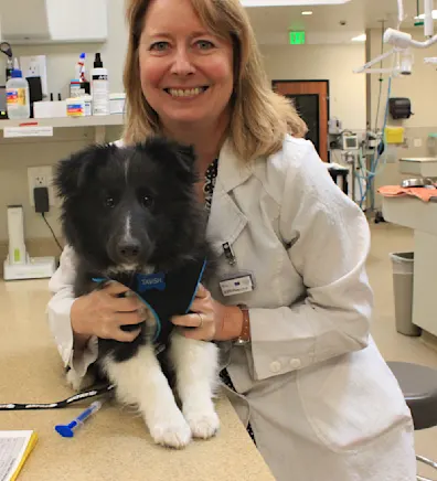 Dr. Tobi Yoakum with a dog in office