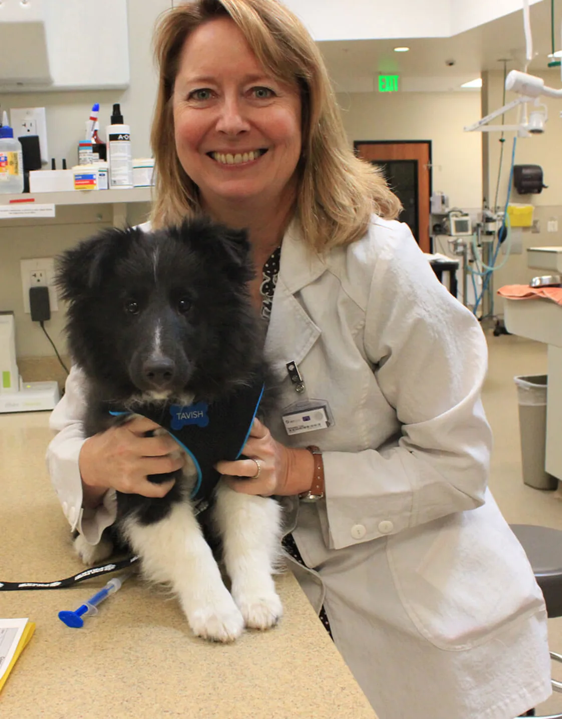 Dr. Tobi Yoakum with a dog in office Dr. Tobi Yoakum with a dog in office