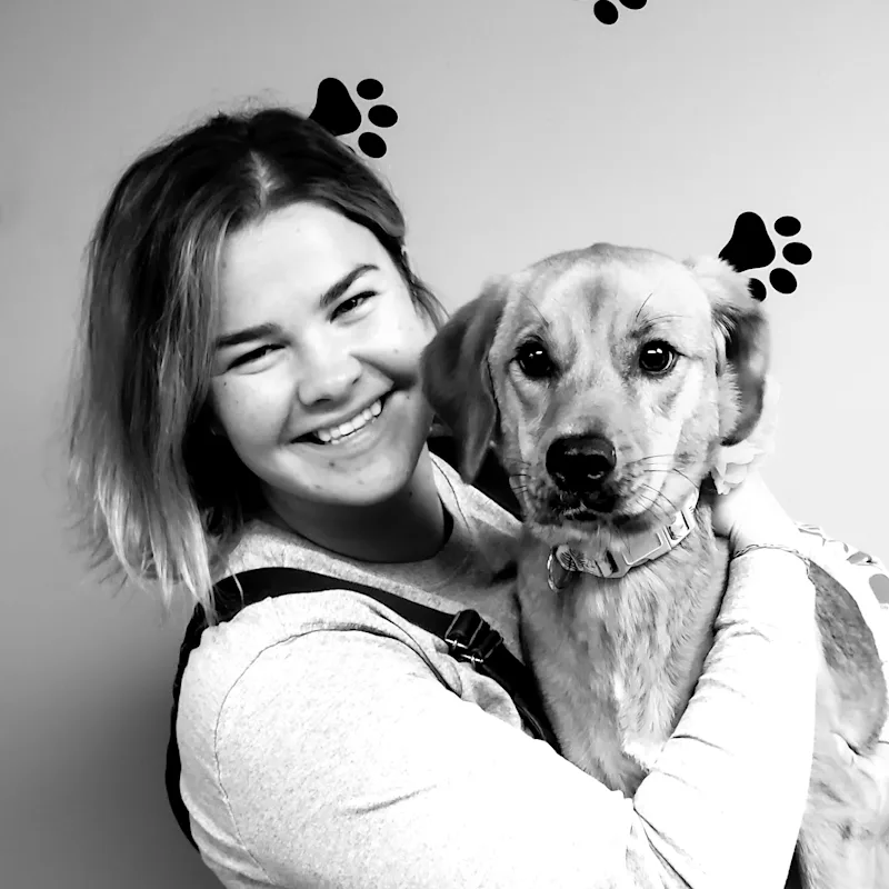 Dr. Brenna Miniscalco's staff photo from Peotone Animal Hospital Dr. Brenna Miniscalco's staff photo from Peotone Animal Hospital