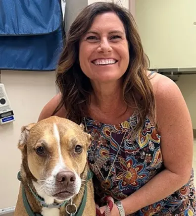 Dori holding onto a brown pit bull. Dori holding onto a brown pit bull.