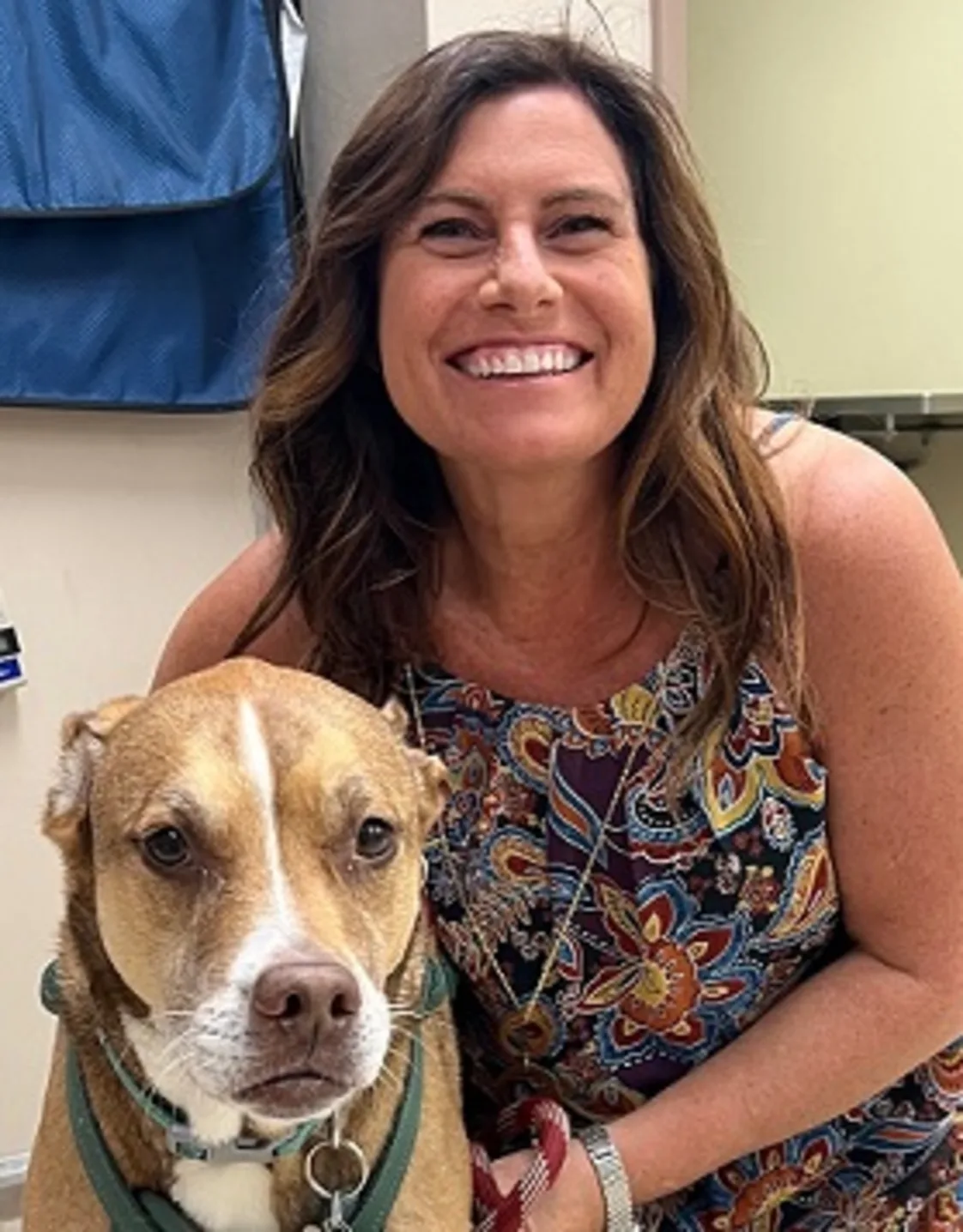 Dori holding onto a brown pit bull. Dori holding onto a brown pit bull.