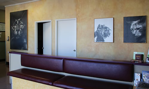Waiting room and bench inside Evergreen Veterinary Clinic