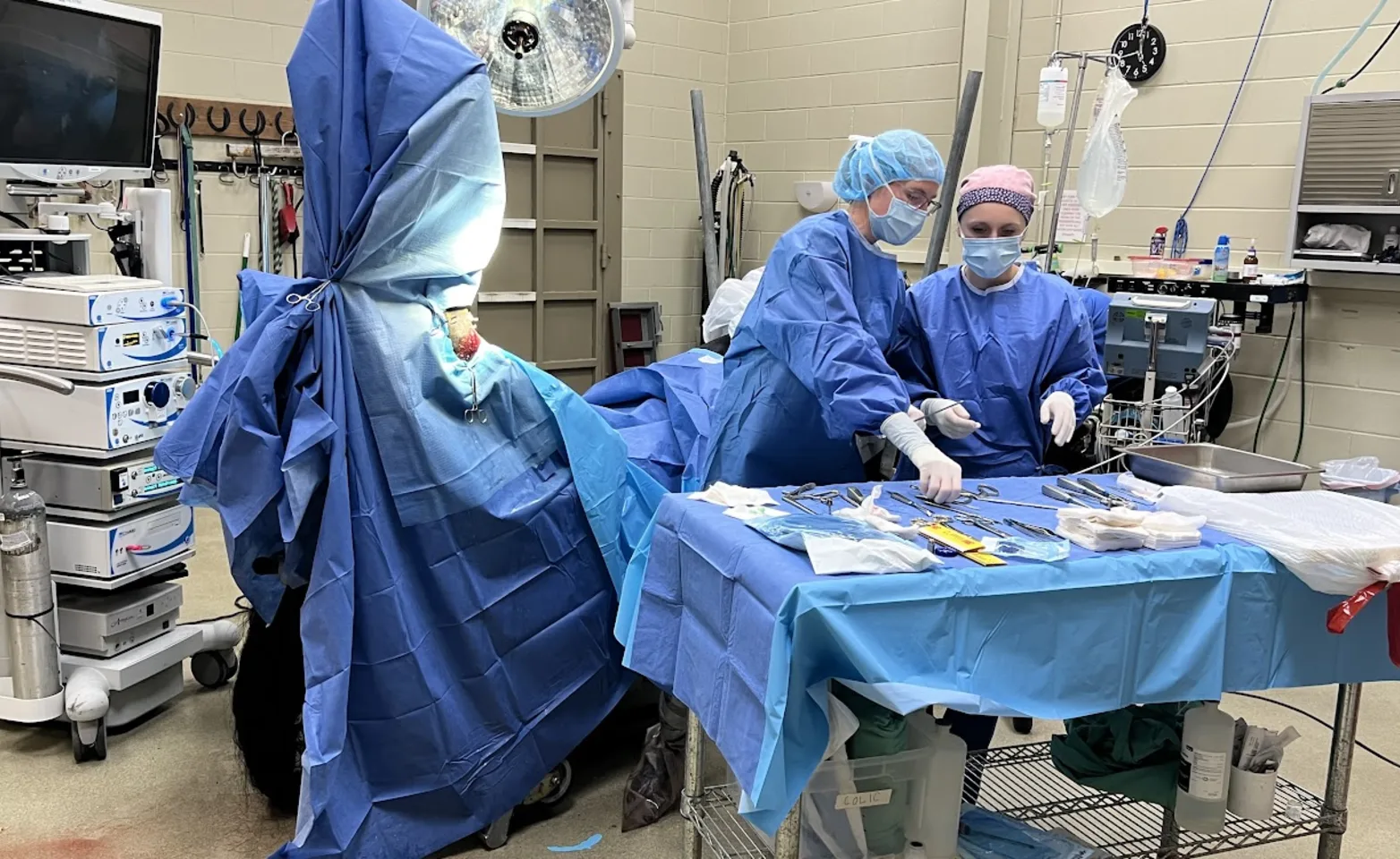 Staff choosing surgery euqipment