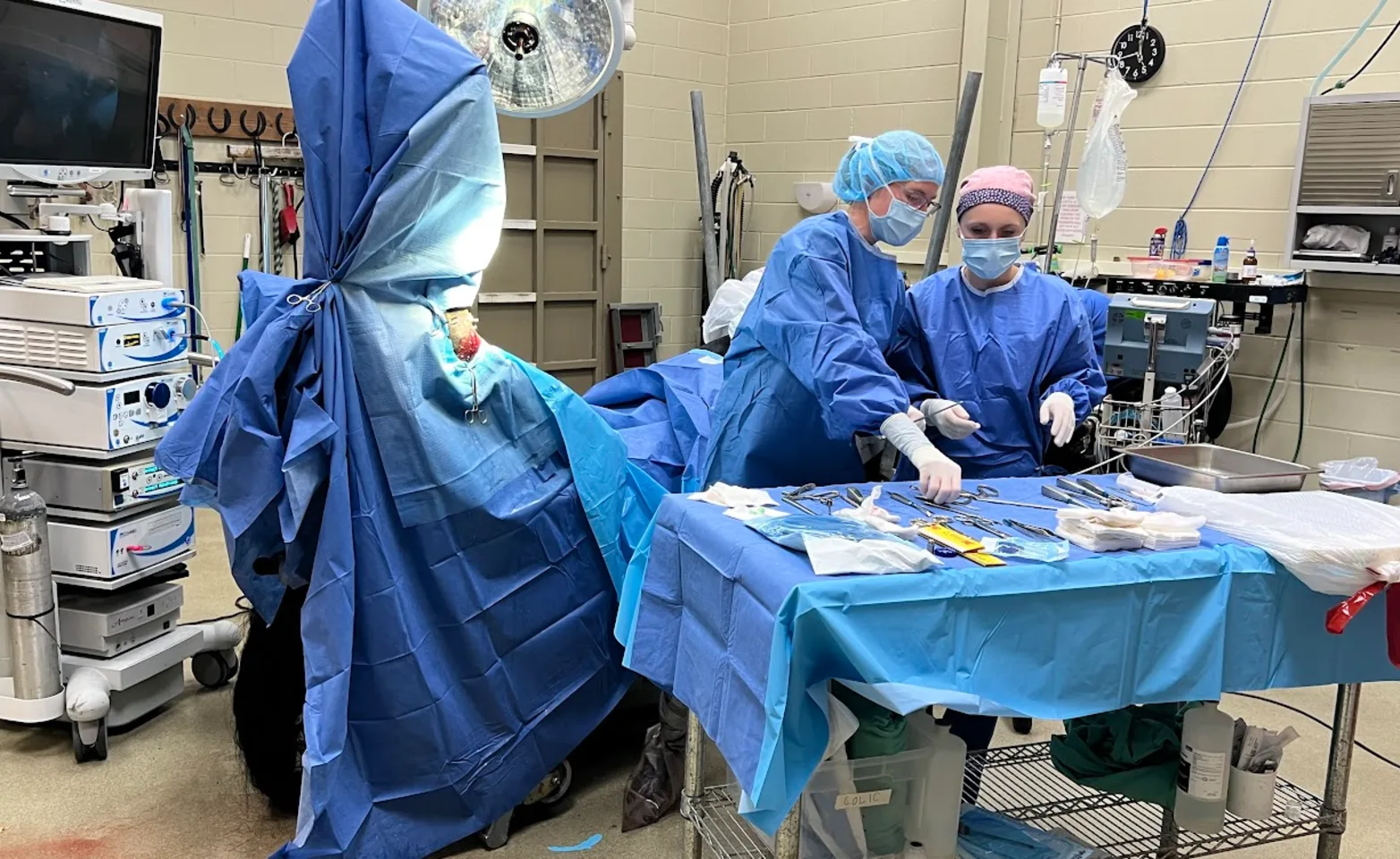 Staff choosing surgery euqipment