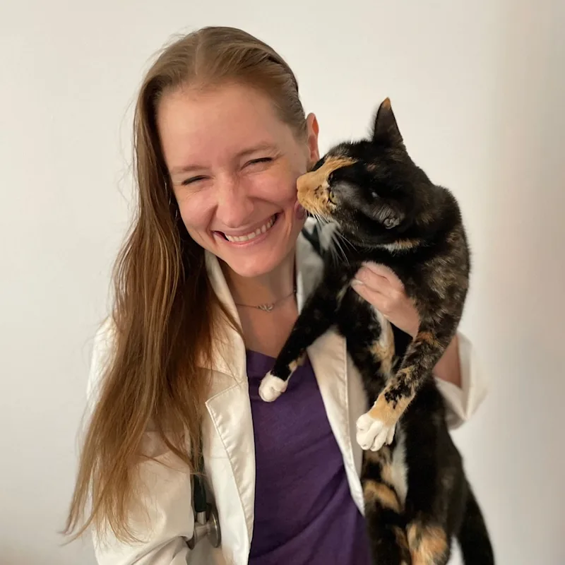 Dr. Stephanie Hunter Dr. Stephanie Hunter