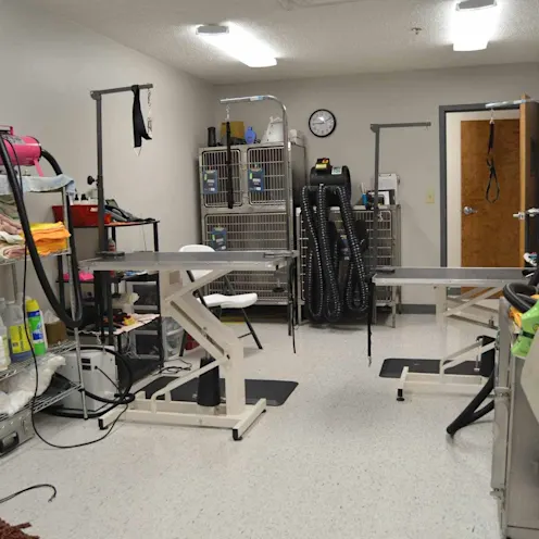 Grooming Area at Parkersburg Veterinary Hospital Grooming Area at Parkersburg Veterinary Hospital
