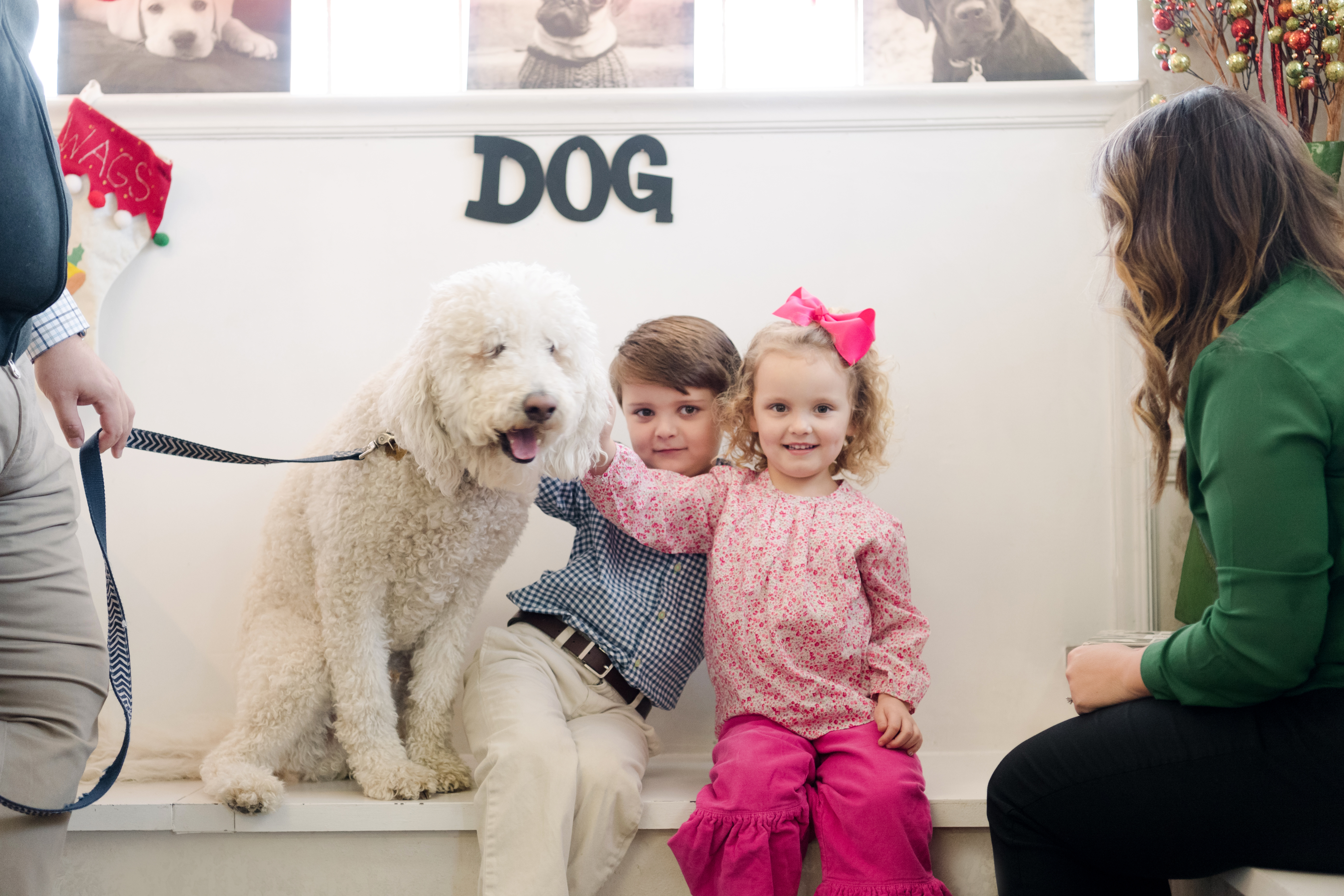KIDS ARE PETTING A DOG