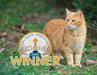 2026 Normy Award