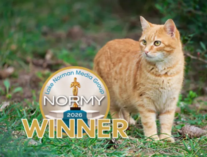 2026 Normy Award 2026 Normy Award