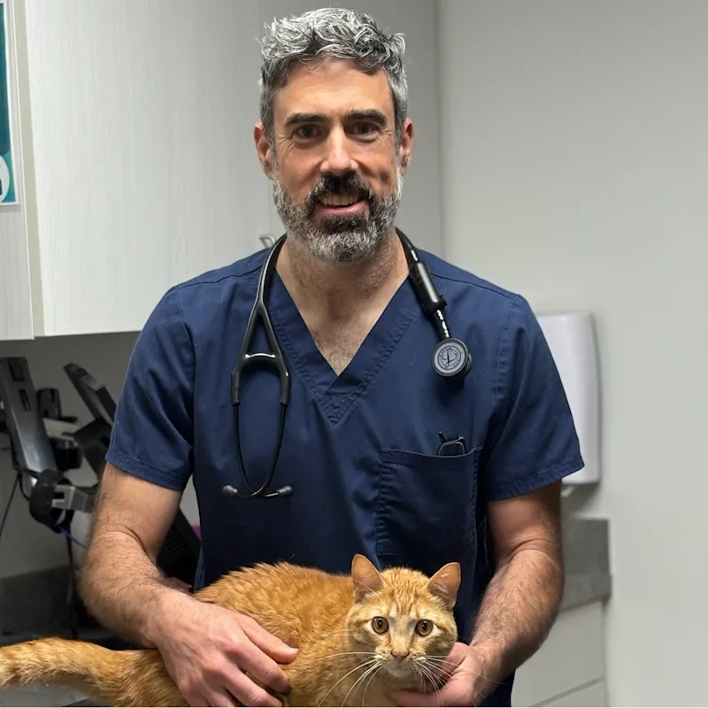 Dr. Paul Orr Dr. Paul Orr