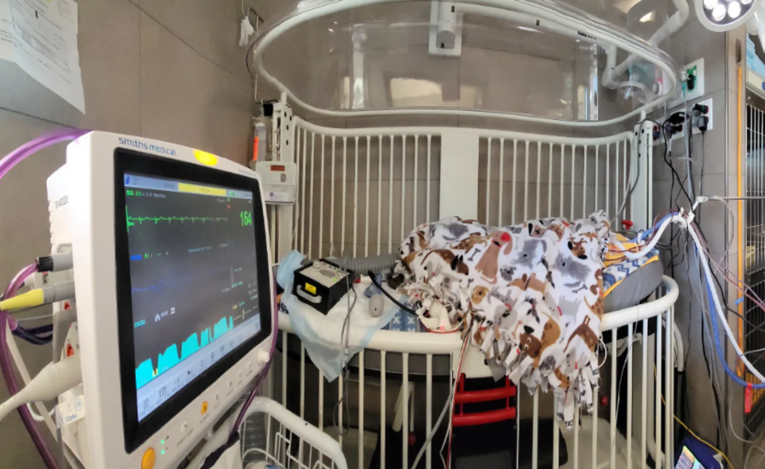 Emergency extracorporeal blood purification (ECT) machine Emergency extracorporeal blood purification (ECT) machine