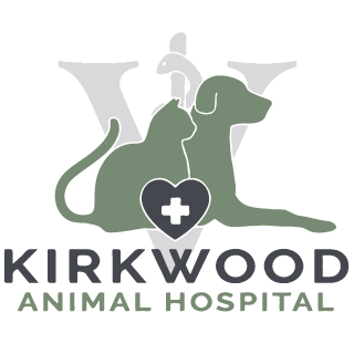 Campbell's Veterinary Clinic | Kirkwood Animal Hospital