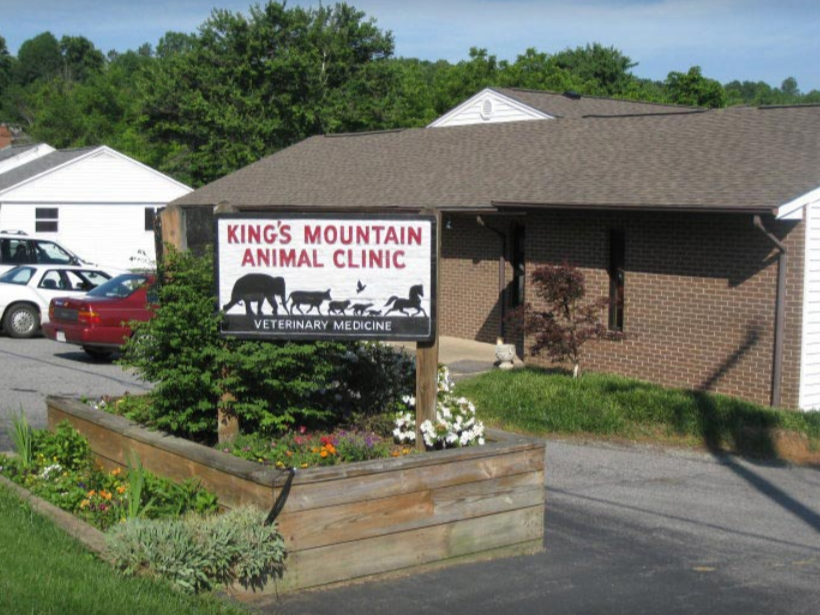 Homepage | King's Mountain Animal Clinic