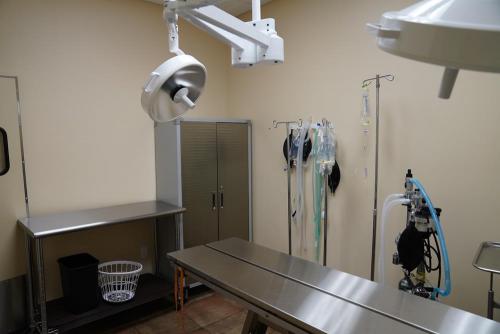 Arroyo Veterinary Center Surgical Area