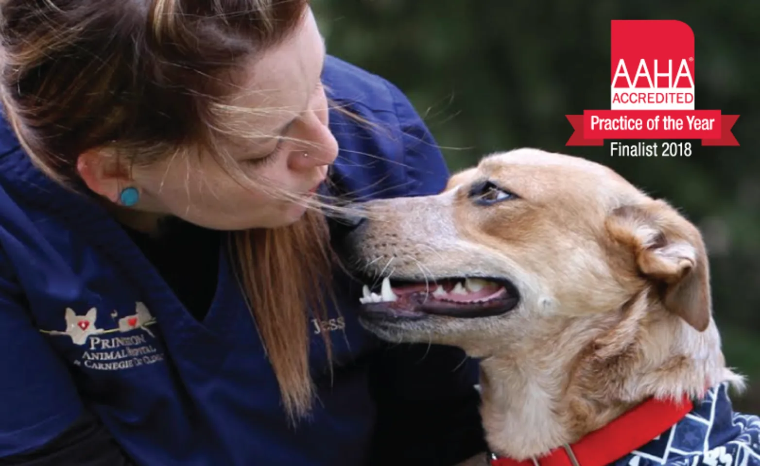 Women holding dog and dog is licking nose