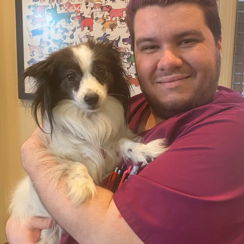 New Staff Member New Staff Member