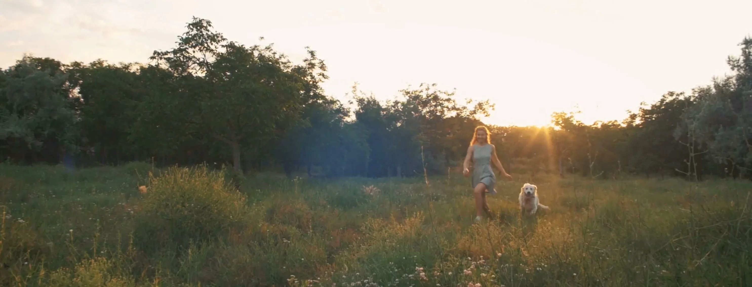 Dog Woman Running Field