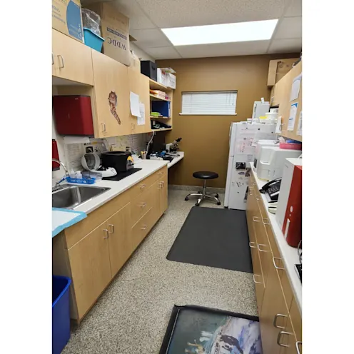 Laboratory Area Laboratory Area