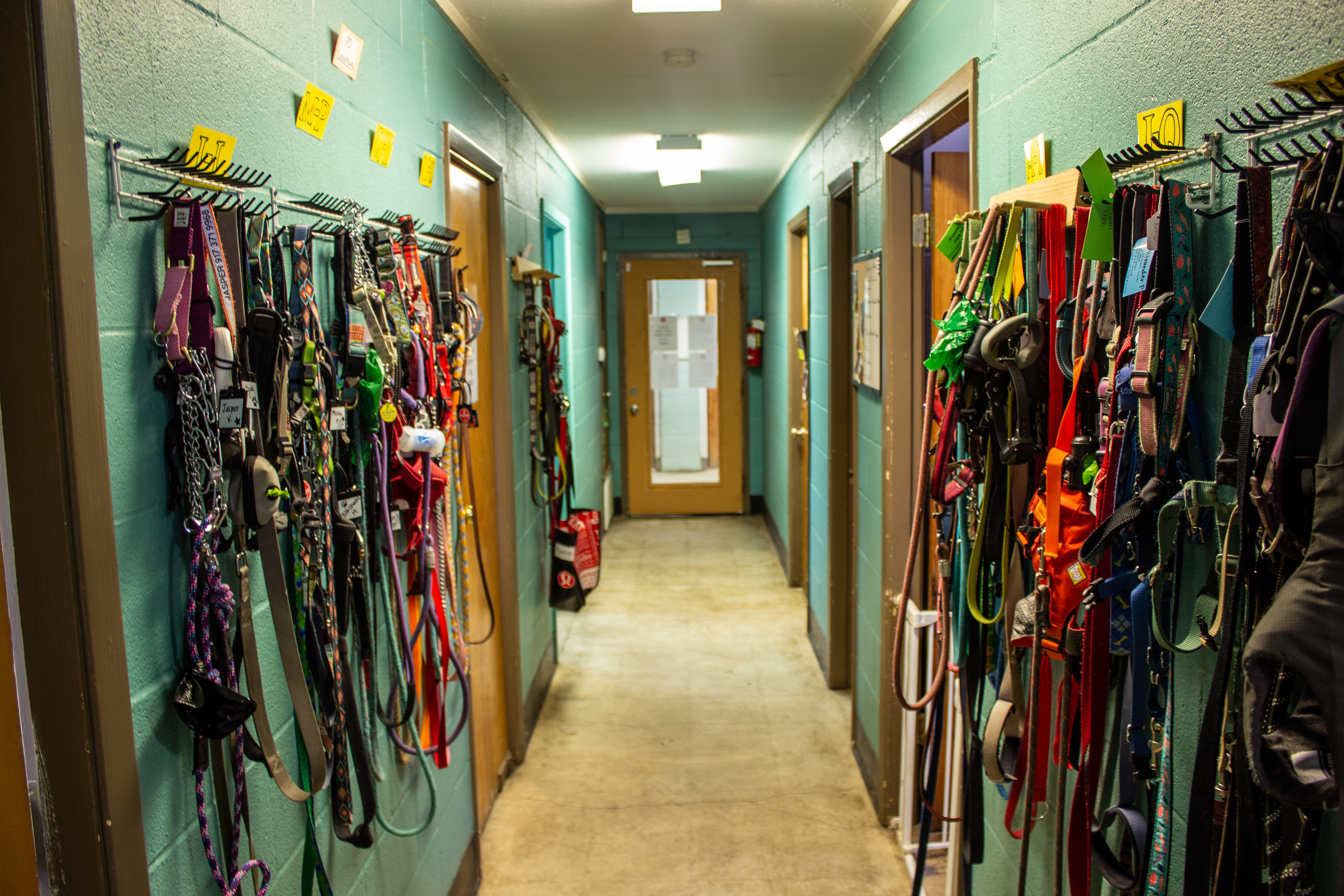 Taurus Academy - Lamar Hallway