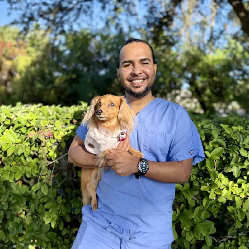 Dr. Braiam Rosado Dr. Braiam Rosado