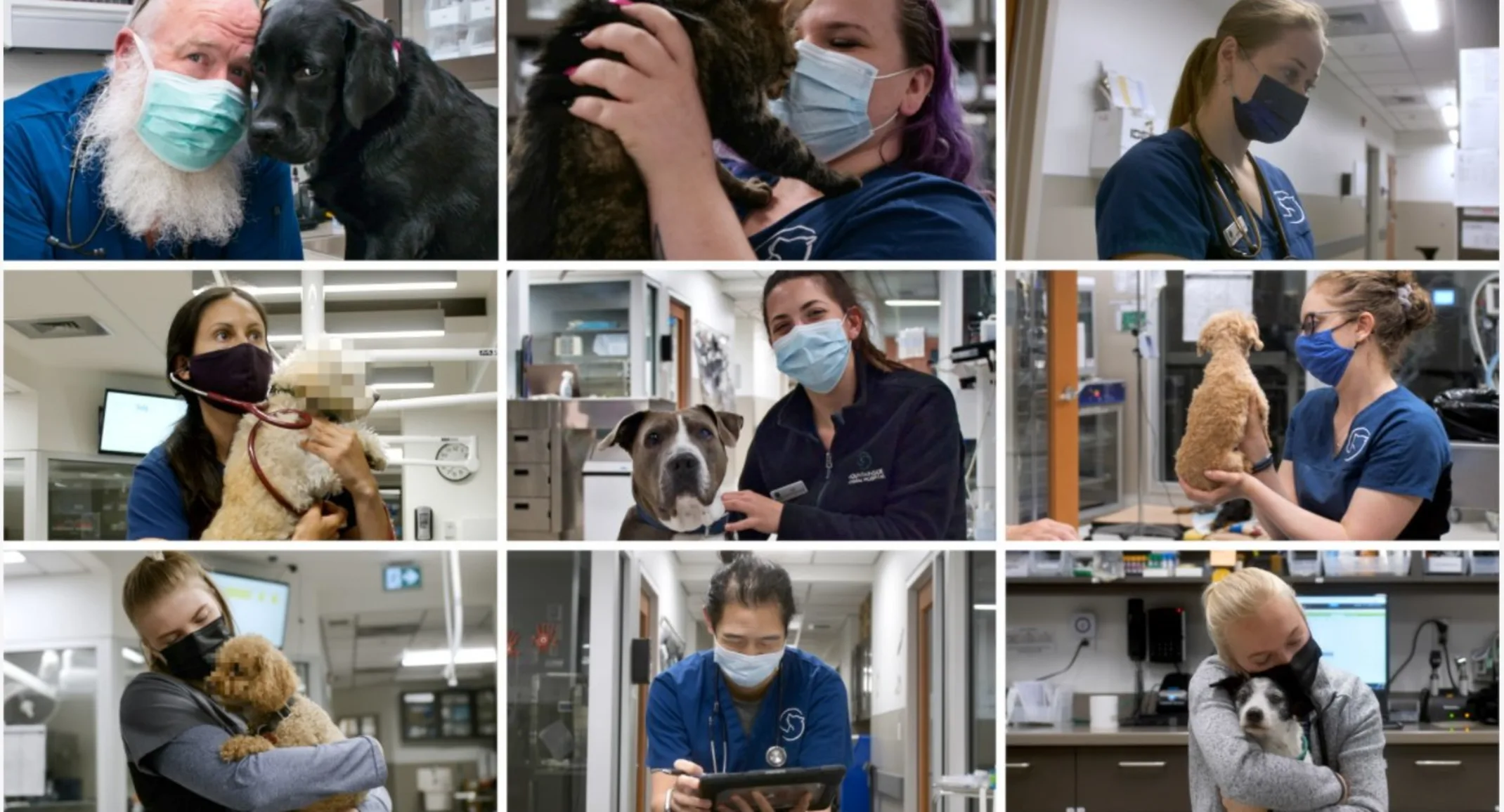 Staff with dogs at Mountainside Animal Hospital