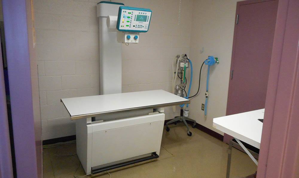 Manzano Animal Clinic