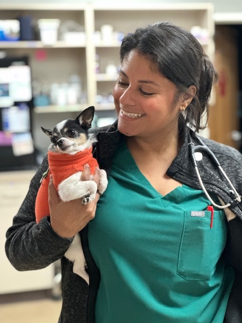 Dr. Garcia holding a Chihuahua