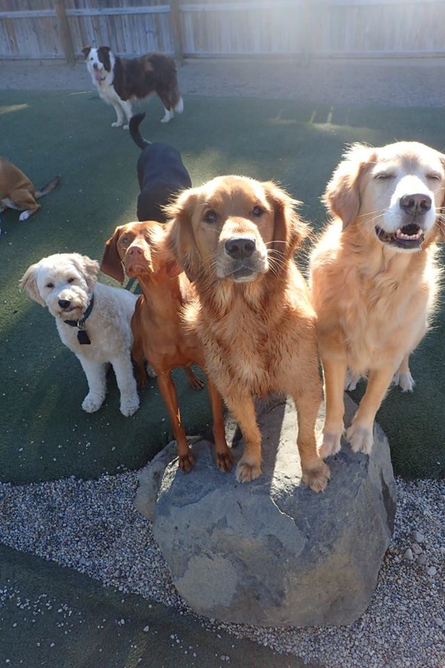 Ruffin' It Resort Outside