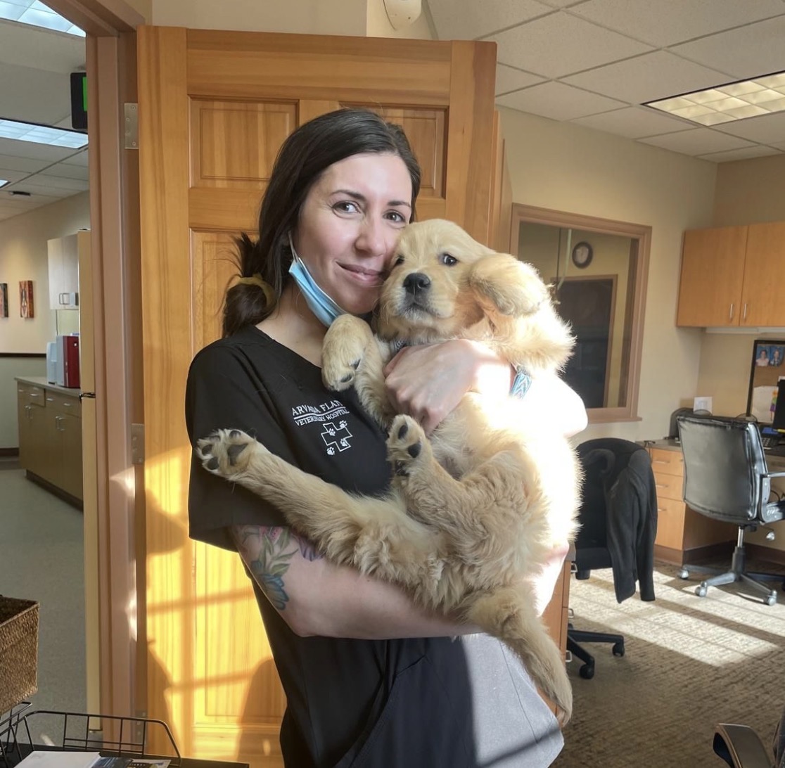 Team member holding a golden retriever puppy