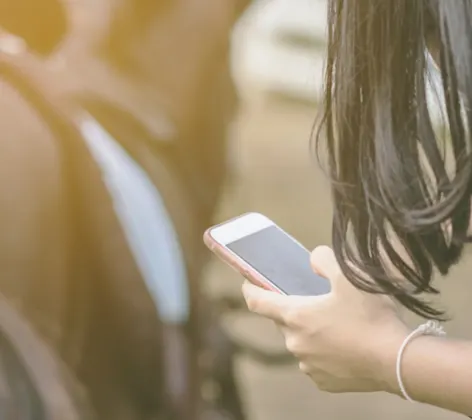 Person on their phone next to a horse Person on their phone next to a horse