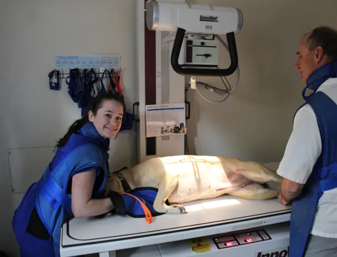 Hunter Animal Hospital staff smiling as they help care for dog during diagnostic services 