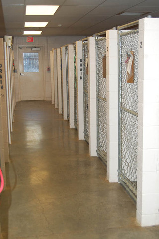 Companion Animal Hospital Boarding area and kennels
