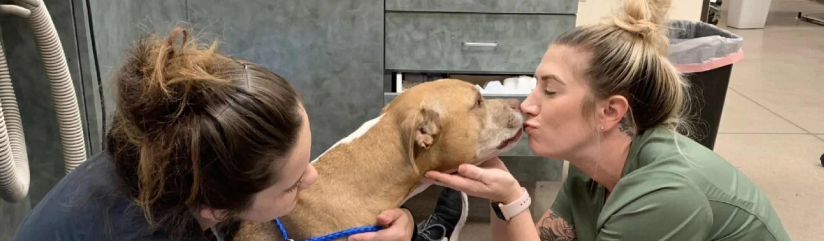 Abby Pet Hospital - Vet Tech Kissing Dog Abby Pet Hospital - Vet Tech Kissing Dog