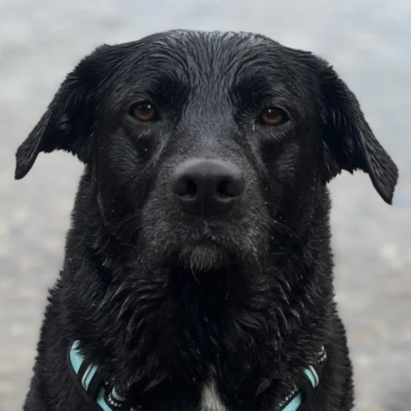 Laura Dewsbury Laura Dewsbury