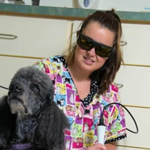 Staff and patient at Alta Animal Hospital Staff and patient at Alta Animal Hospital