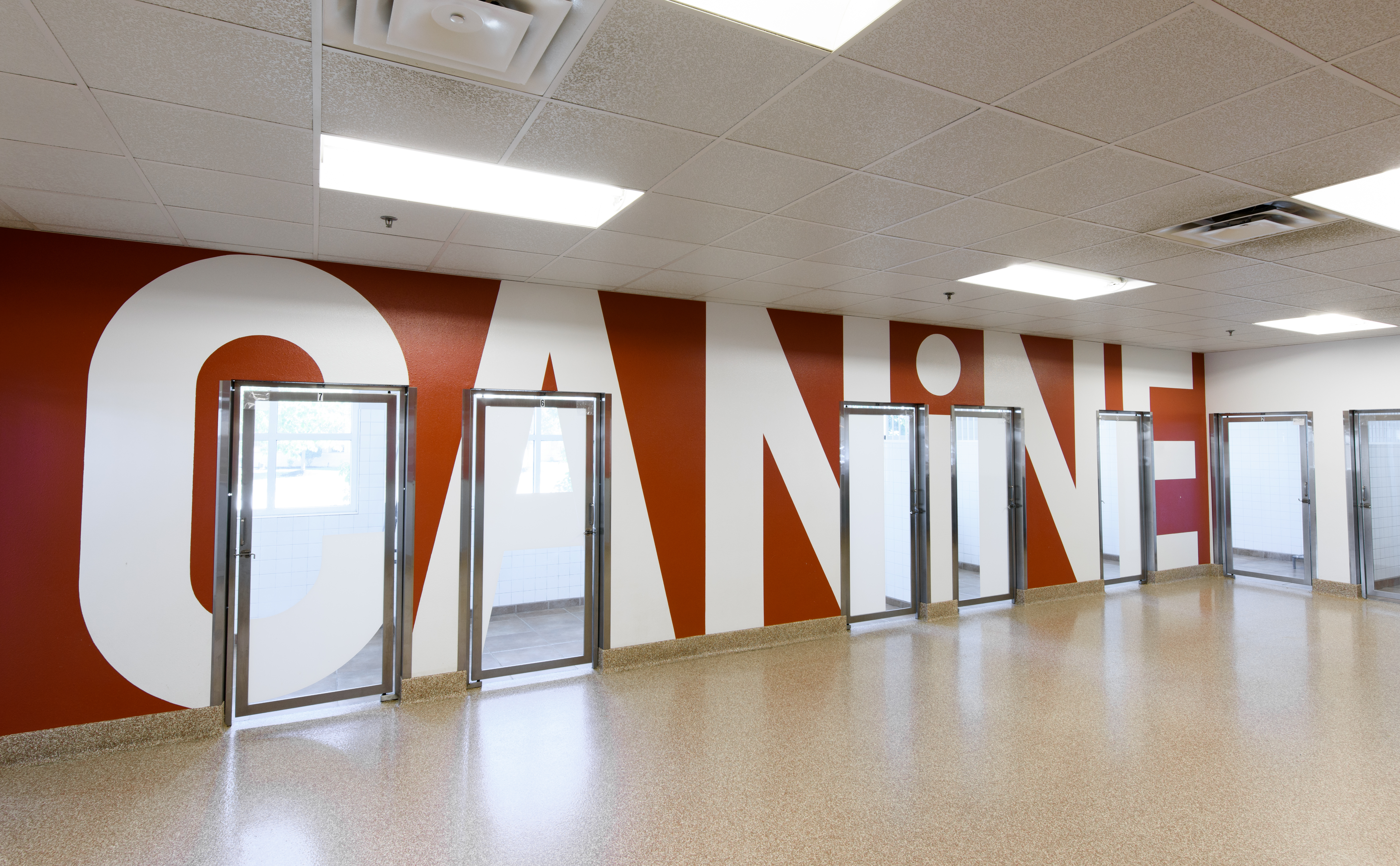 Boarding Daycare Area