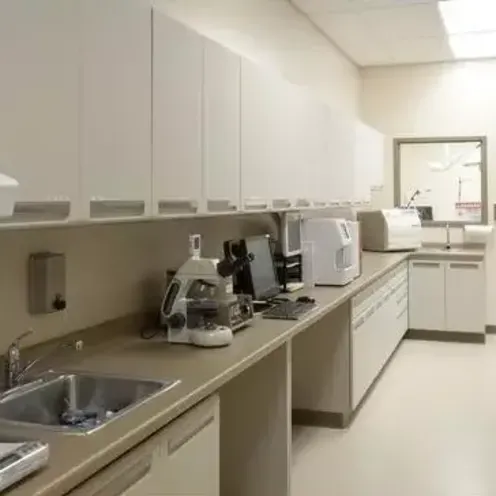 Laboratory at Northpointe Animal Hospital