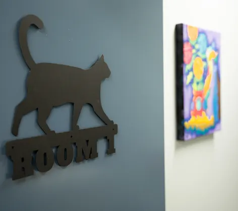 Room 1 with a cat sign Room 1 with a cat sign