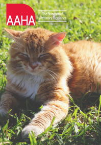 Cat and AAHA Logo