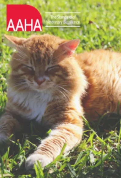 Cat and AAHA Logo Cat and AAHA Logo