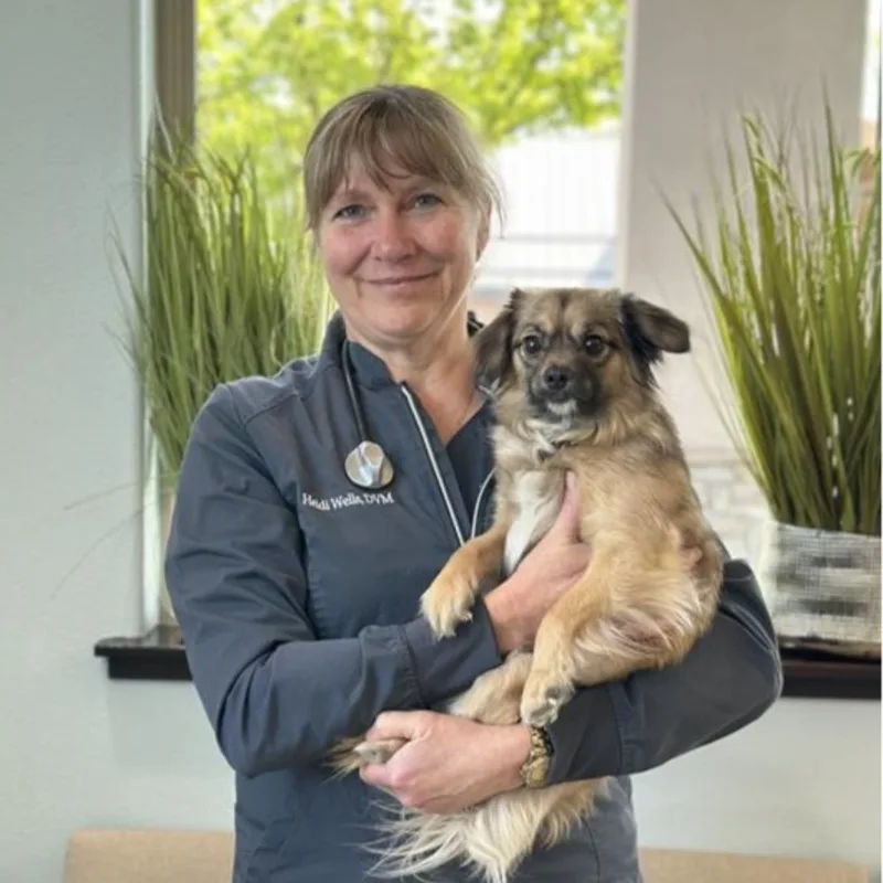 Heidi Wells Heidi Wells