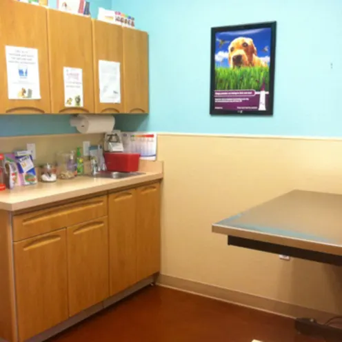 Examination room with metal table