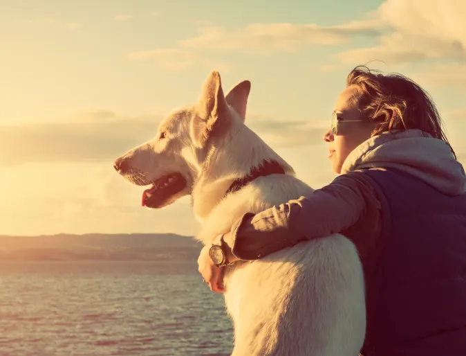Woman hugging dog at sunset