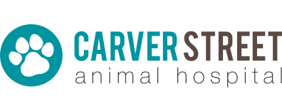 Carver Street Animal Hospital Logo